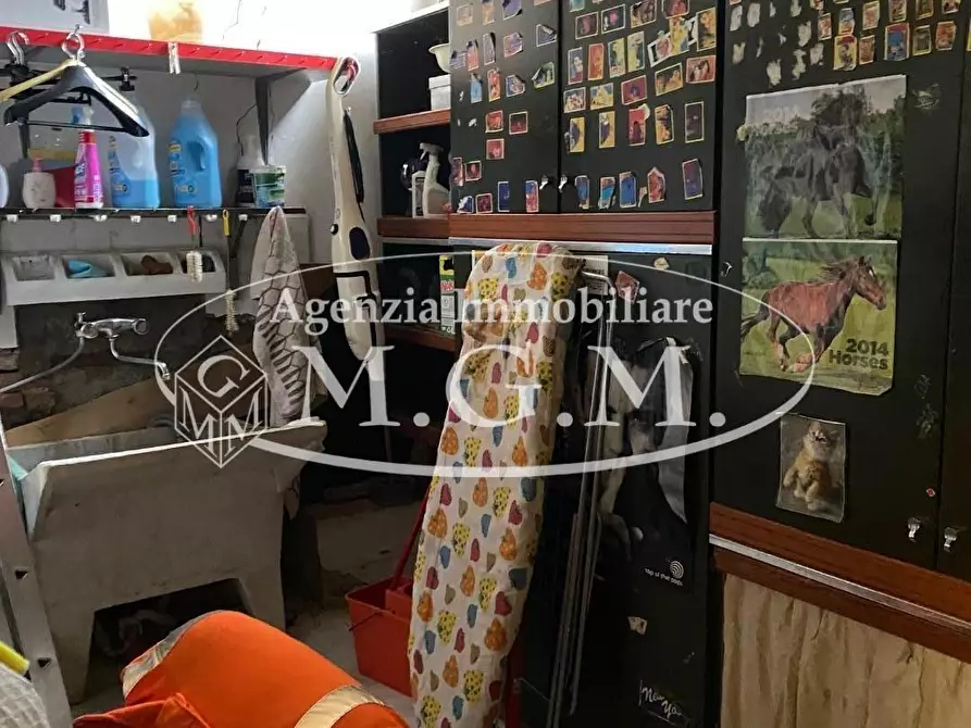 Immagine 33 di Casa colonica in vendita  a Palaia