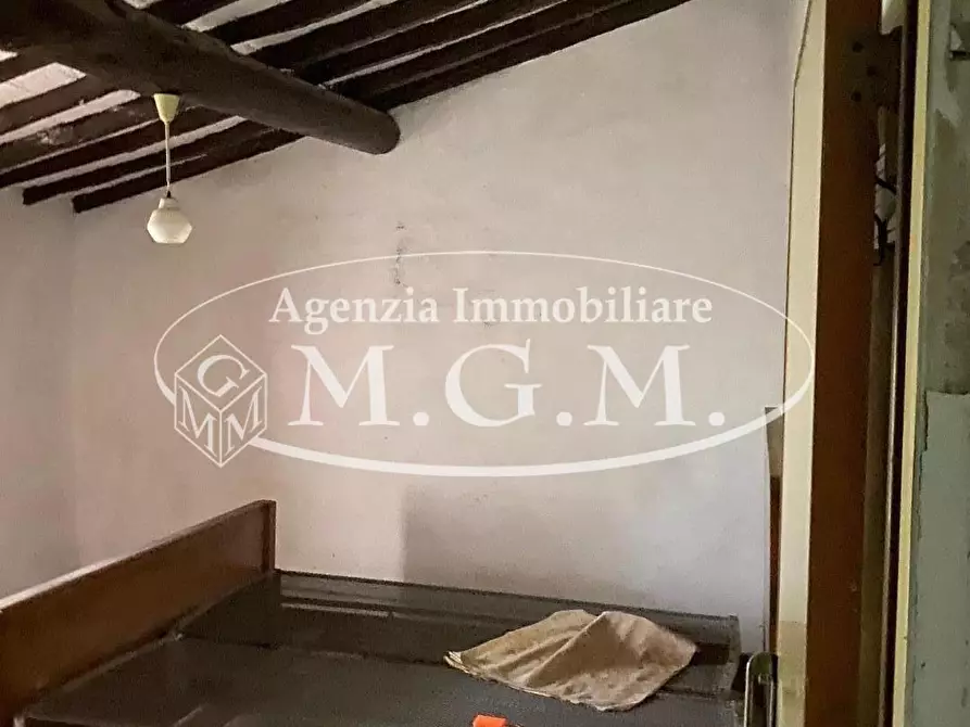 Immagine 32 di Casa colonica in vendita  a Palaia