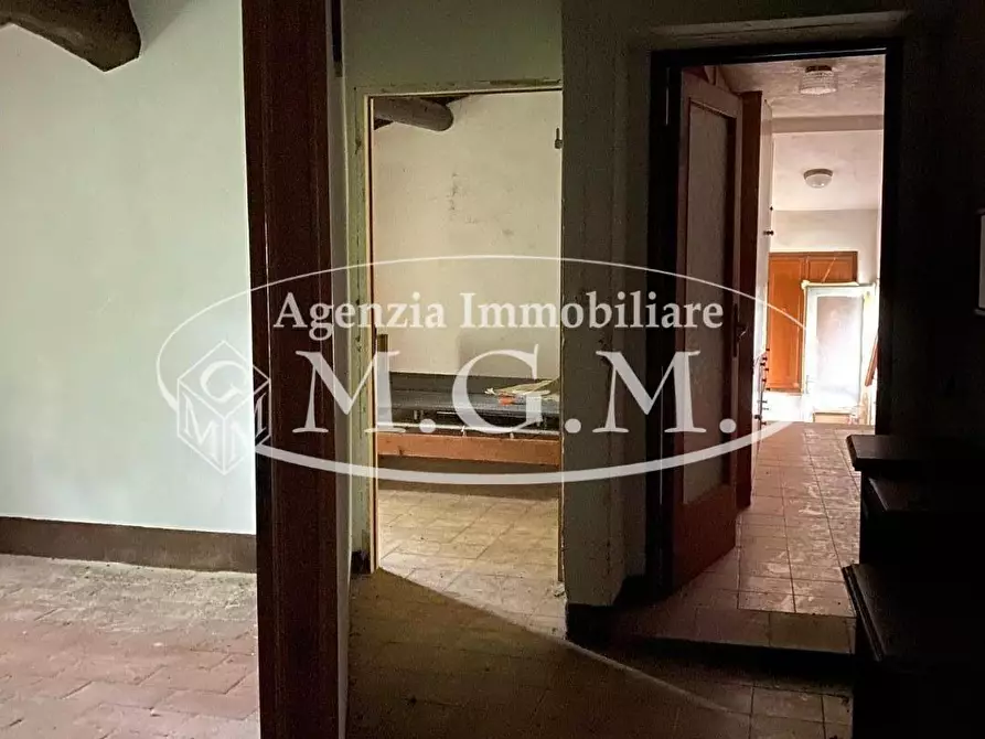 Immagine 27 di Casa colonica in vendita  a Palaia
