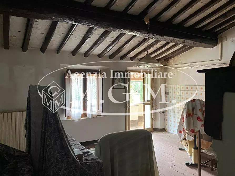 Immagine 36 di Casa colonica in vendita  a Palaia