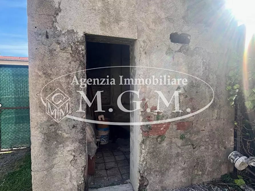 Immagine 15 di Appartamento in affitto  a Vicopisano