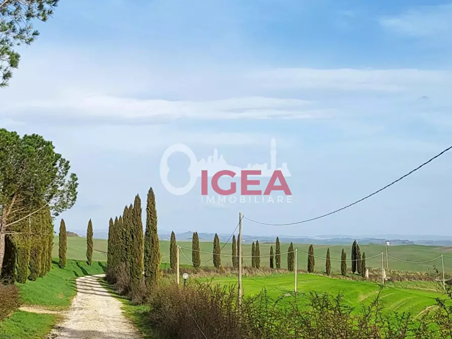 Immagine 1 di Terratetto in vendita  a Monteroni D'arbia