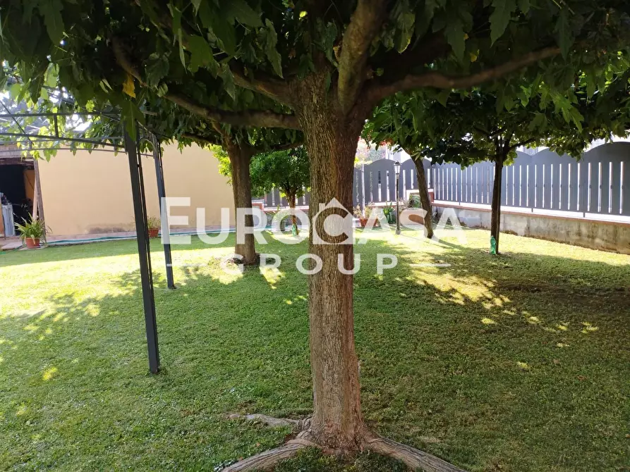 Immagine 65 di Villa in vendita  a Lucca