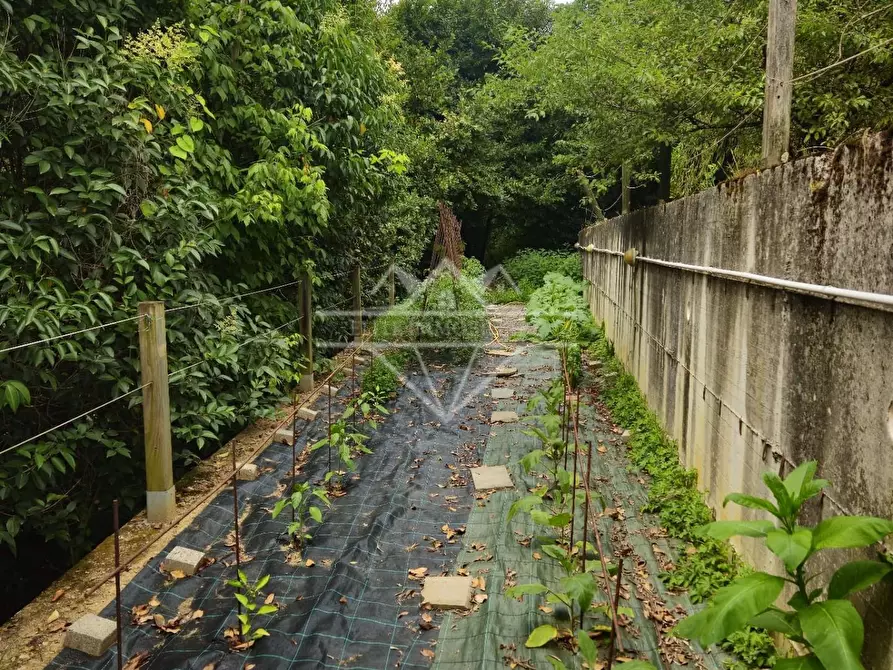 Immagine 62 di Casa indipendente in vendita  a Carrara