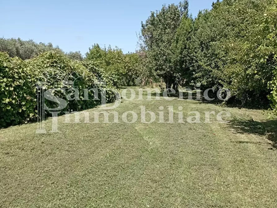 Immagine 8 di Terreno agricolo in vendita  a Pisa