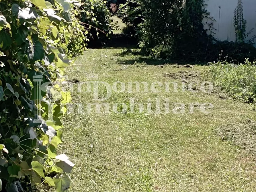 Immagine 4 di Terreno agricolo in vendita  a Pisa