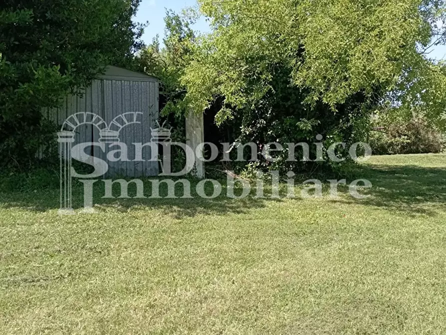 Immagine 2 di Terreno agricolo in vendita  a Pisa