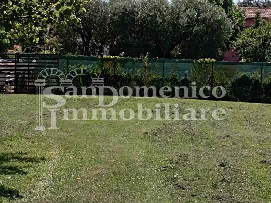 Immagine 9 di Terreno agricolo in vendita  a Pisa