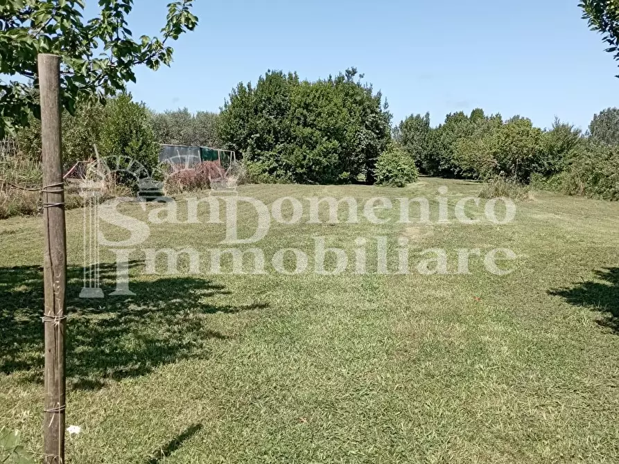 Immagine 7 di Terreno agricolo in vendita  a Pisa