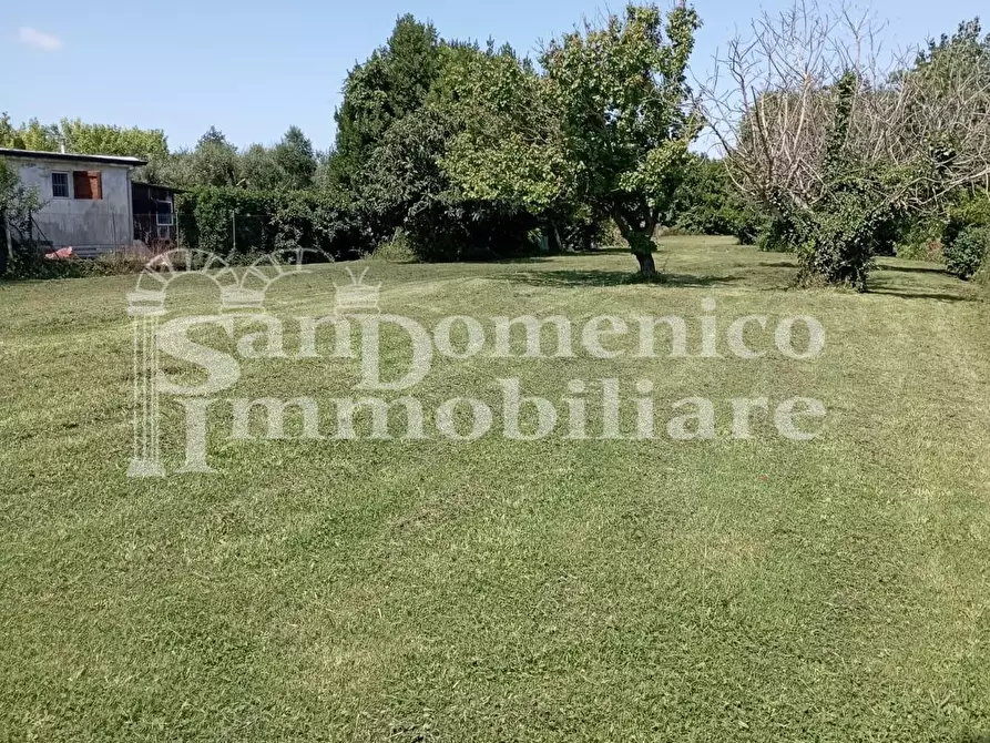 Immagine 3 di Terreno agricolo in vendita  a Pisa