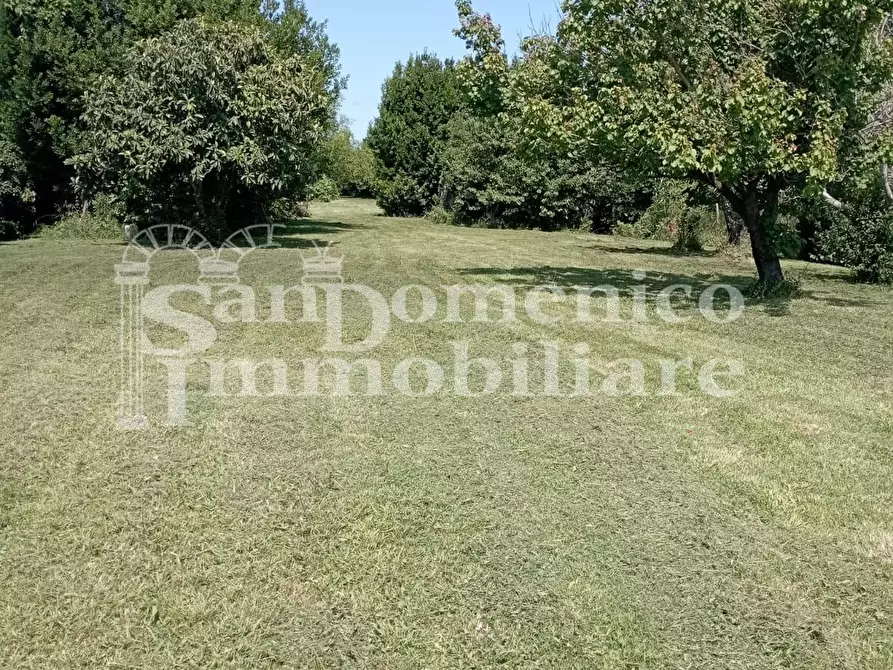 Immagine 1 di Terreno agricolo in vendita  a Pisa