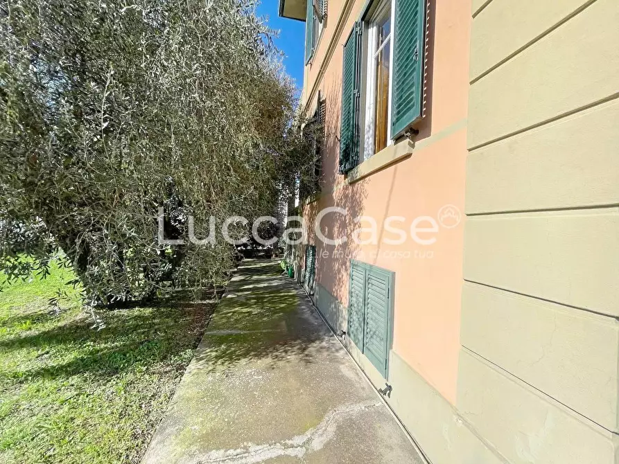 Immagine 35 di Attività commerciale in vendita  a Lucca