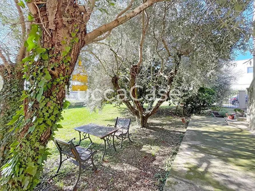 Immagine 34 di Attività commerciale in vendita  a Lucca