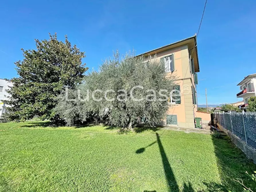 Immagine 30 di Attività commerciale in vendita  a Lucca