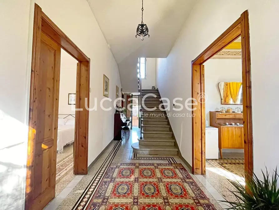 Immagine 4 di Attività commerciale in vendita  a Lucca