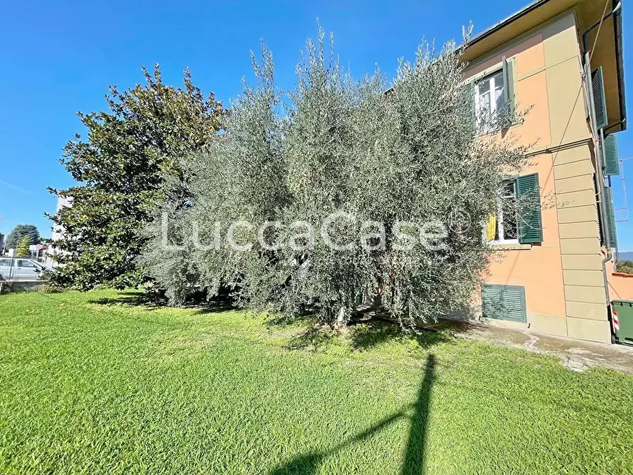 Immagine 36 di Attività commerciale in vendita  a Lucca