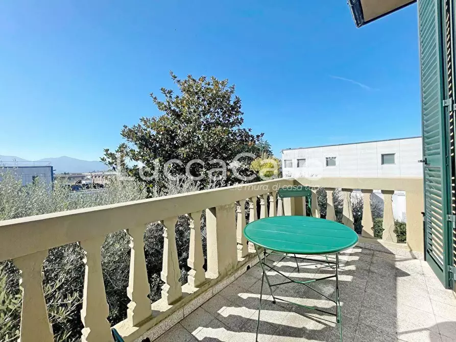 Immagine 8 di Attività commerciale in vendita  a Lucca