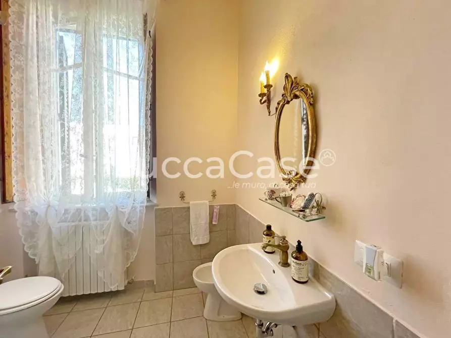 Immagine 9 di Attività commerciale in vendita  a Lucca