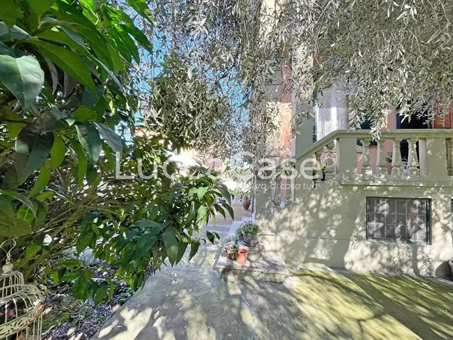 Immagine 39 di Attività commerciale in vendita  a Lucca