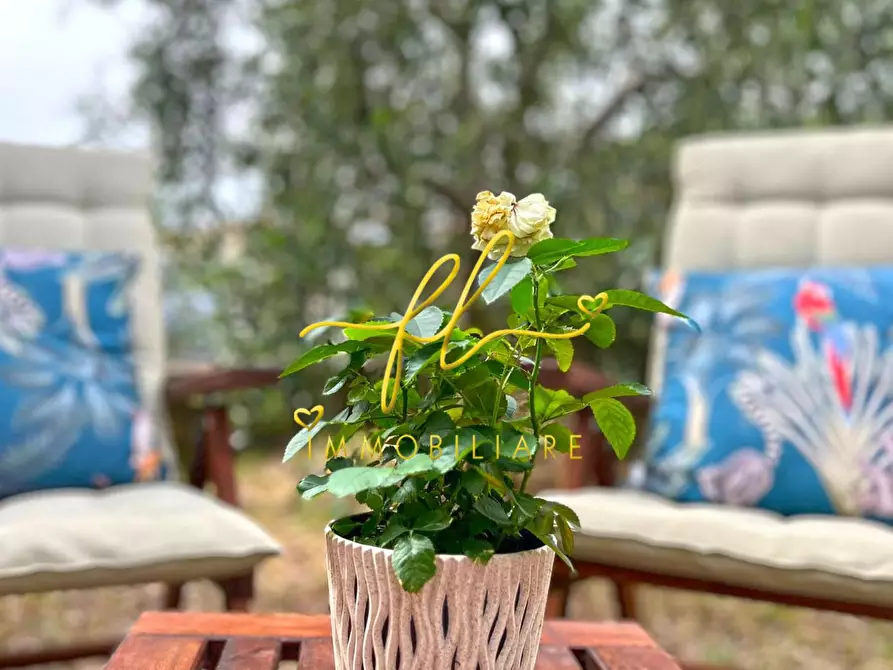 Immagine 26 di Casa bifamiliare in vendita  a Rosignano Marittimo