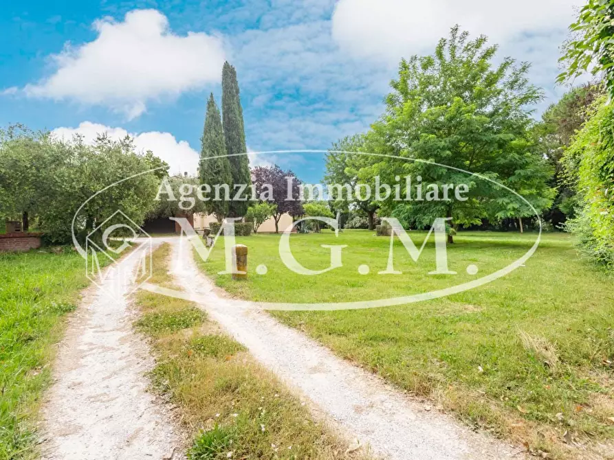 Immagine 2 di Rustico / casale in vendita  a Calcinaia