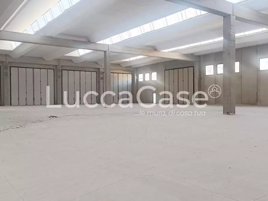 Immagine 6 di Capannone industriale in affitto  a Borgo A Mozzano
