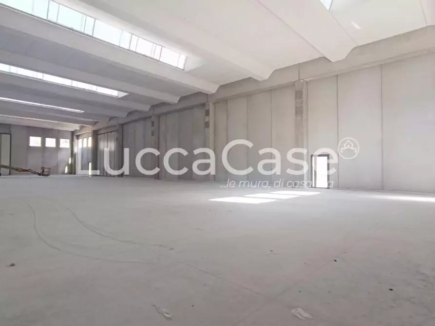 Immagine 9 di Capannone industriale in affitto  a Borgo A Mozzano
