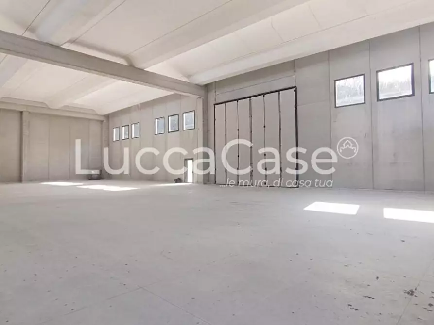 Immagine 3 di Capannone industriale in affitto  a Borgo A Mozzano