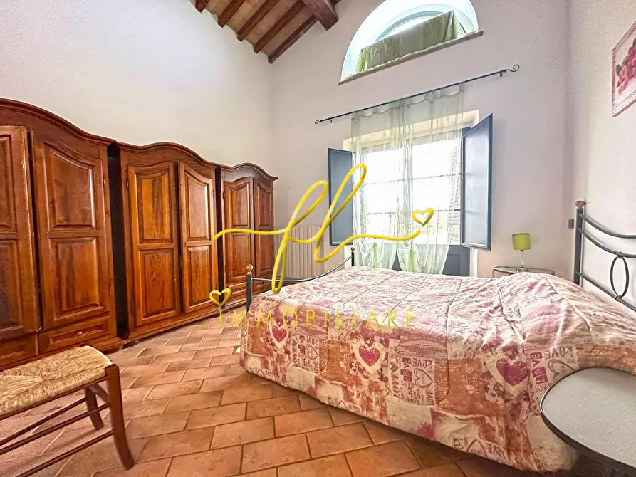 Immagine 3 di Casa colonica in vendita  a Santa Luce