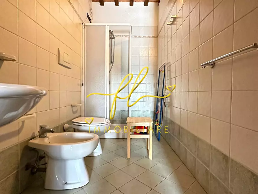 Immagine 16 di Casa colonica in vendita  a Santa Luce