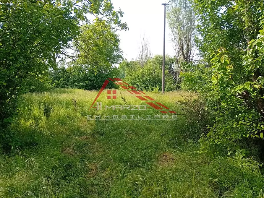 Immagine 9 di Casa colonica in vendita  a Brescello