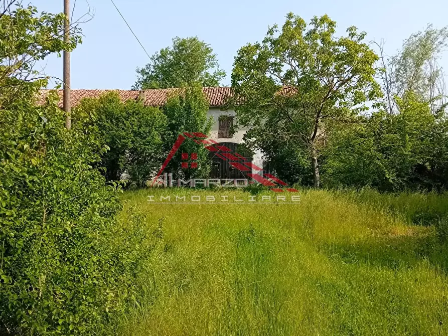 Immagine 6 di Casa colonica in vendita  a Brescello