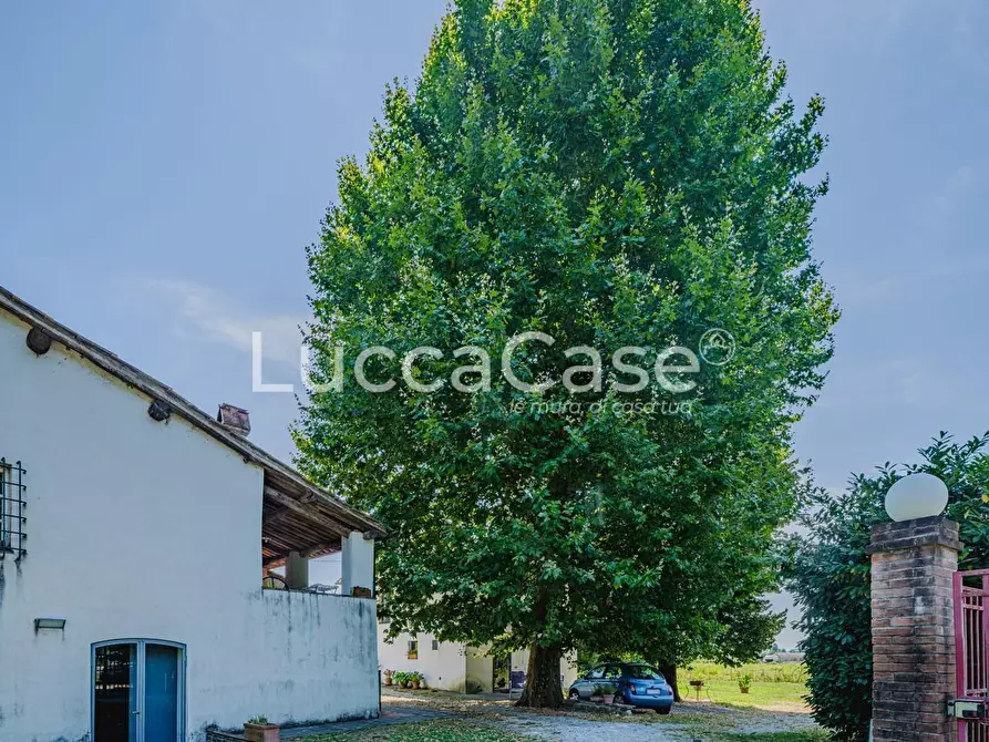 Immagine 21 di Villa in vendita  a Lucca