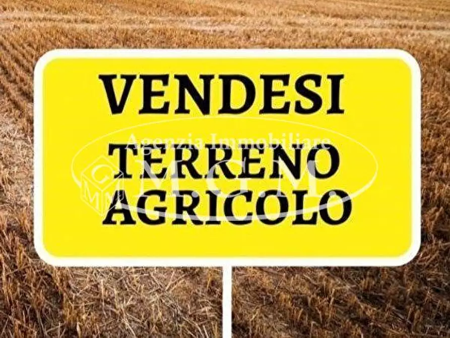 Immagine 1 di Terreno agricolo in vendita  a Santa Maria A Monte