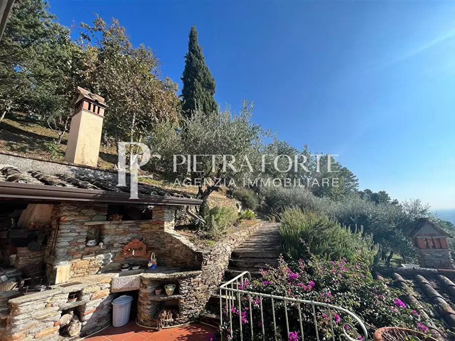 Immagine 30 di Villa in vendita  a Pietrasanta