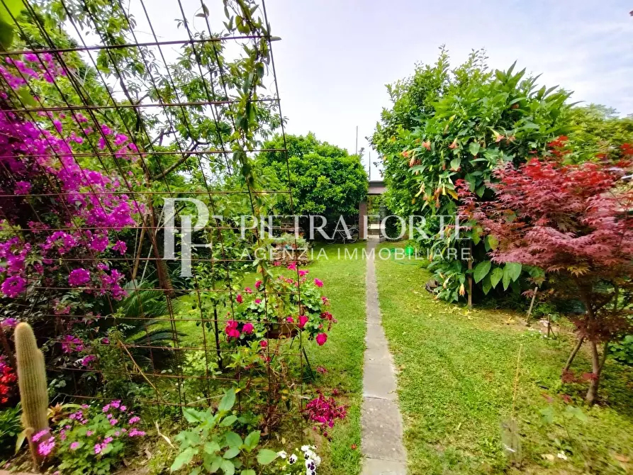 Immagine 1 di Casa semindipendente in vendita  a Pietrasanta