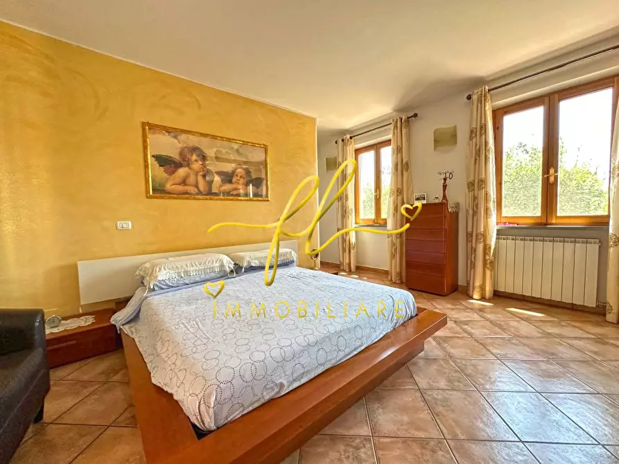 Immagine 14 di Appartamento in vendita  a Montescudaio