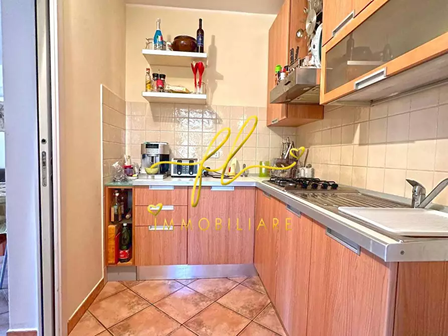 Immagine 8 di Appartamento in vendita  a Montescudaio