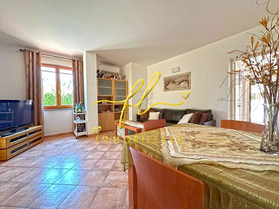 Immagine 10 di Appartamento in vendita  a Montescudaio