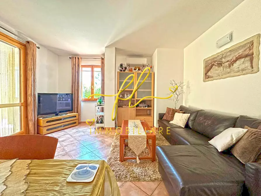 Immagine 7 di Appartamento in vendita  a Montescudaio