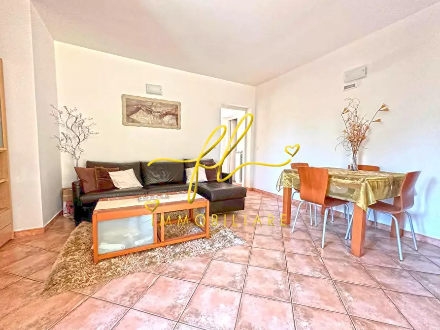 Immagine 6 di Appartamento in vendita  a Montescudaio