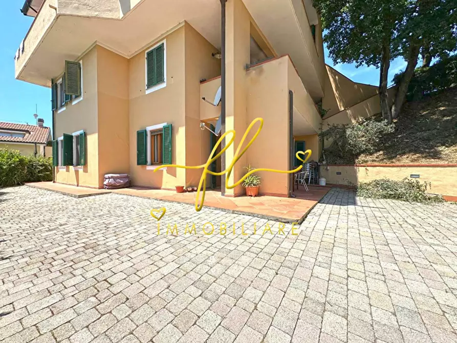 Immagine 4 di Appartamento in vendita  a Montescudaio