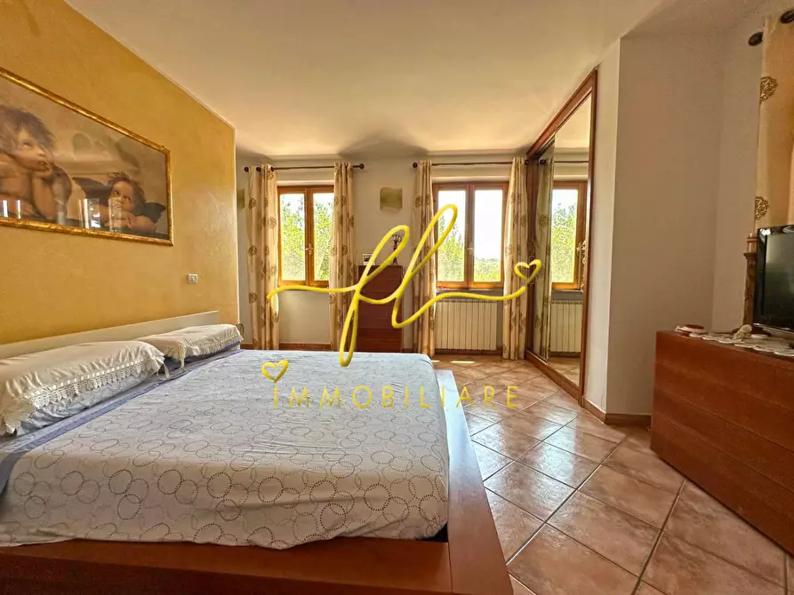 Immagine 16 di Appartamento in vendita  a Montescudaio