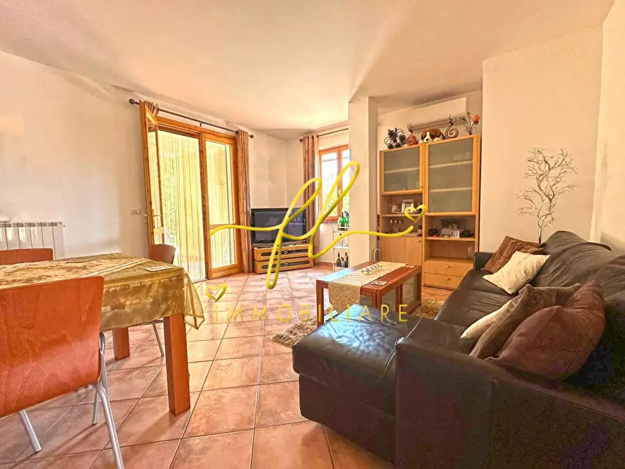 Immagine 11 di Appartamento in vendita  a Montescudaio