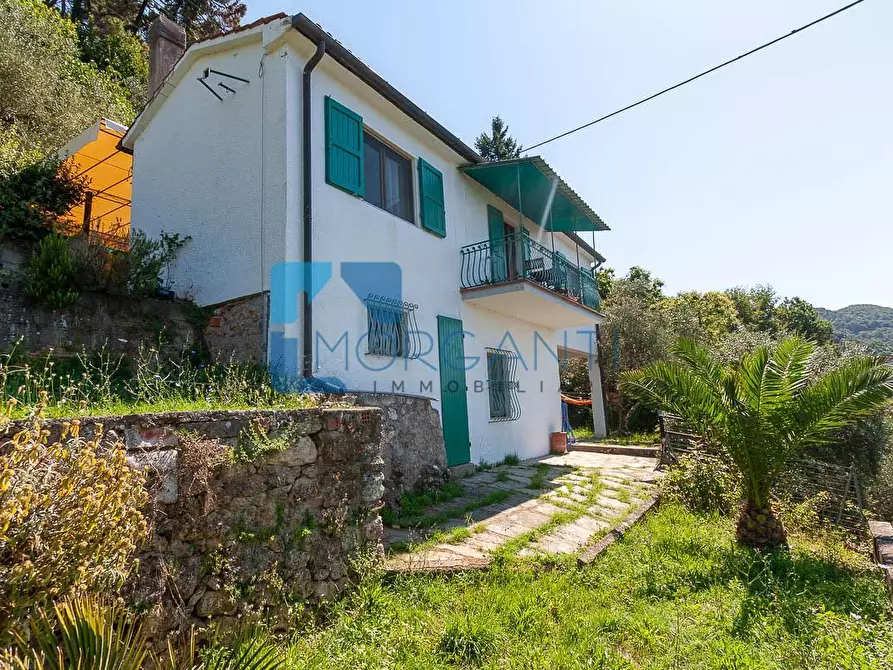 Immagine 1 di Casa indipendente in vendita  a Pietrasanta