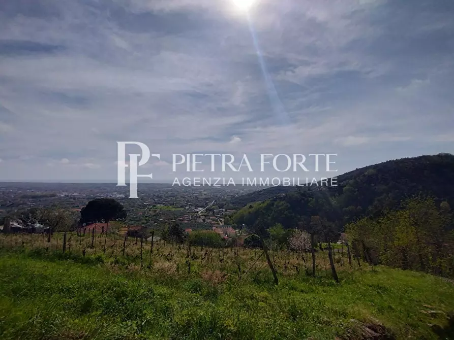 Immagine 25 di Rustico / casale in vendita  a Pietrasanta