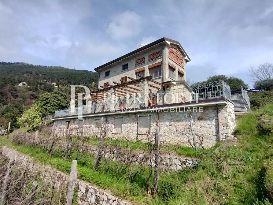 Immagine 3 di Rustico / casale in vendita  a Pietrasanta
