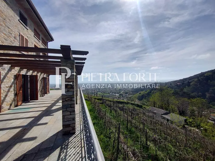 Immagine 23 di Rustico / casale in vendita  a Pietrasanta
