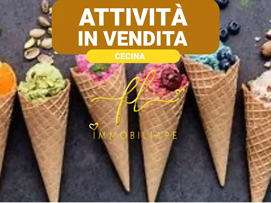 Immagine 1 di Attività commerciale in vendita  a Cecina