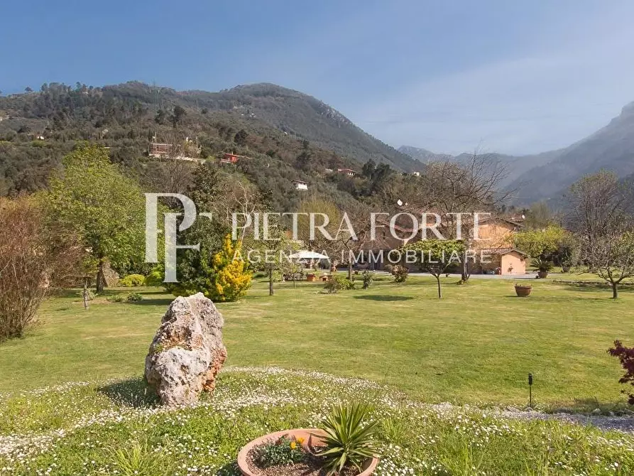 Immagine 110 di Casa colonica in vendita  a Pietrasanta